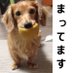 ひっと (@jhcmhb6odbxge3g) Twitter profile photo ひっと (@jhcmhb6odbxge3g) Twitter profile photo