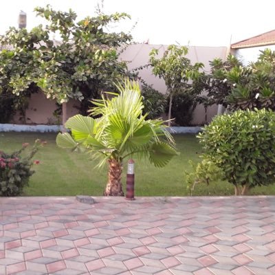 q_505n's profile picture. اذا رايت مني خير فانشره واذا رايت غيره فاستره