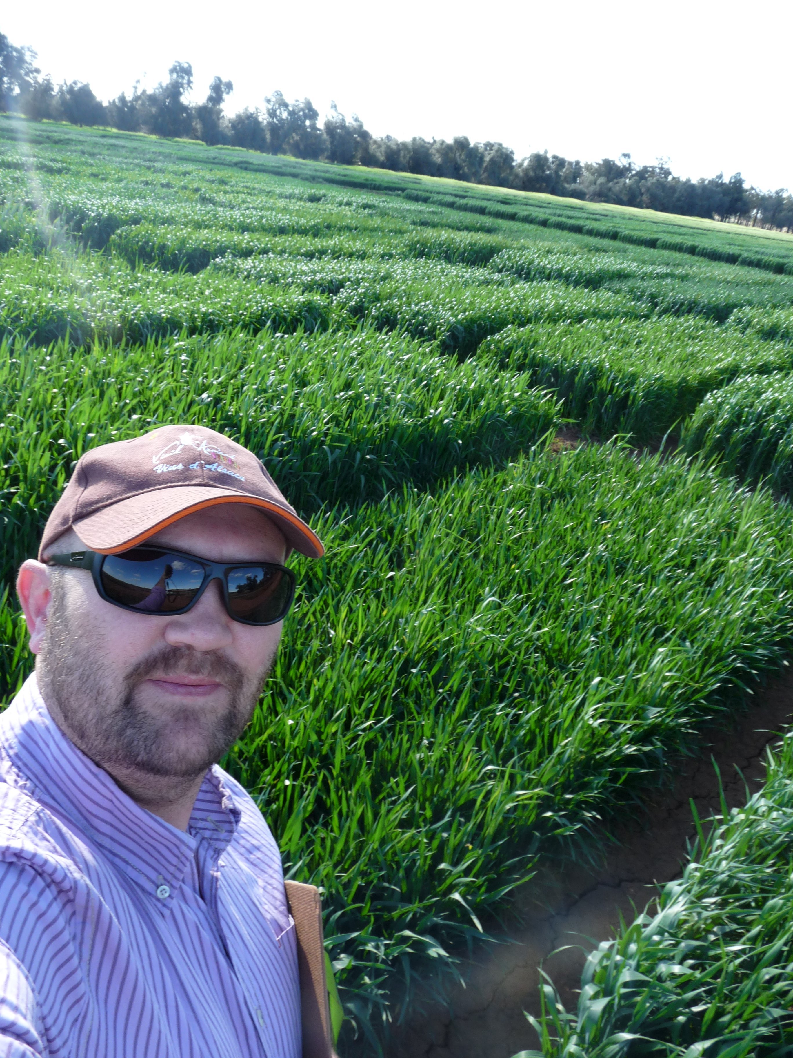 Lecturer and Researcher Arable crops at Lincoln University, NZ. Former farmer in France. Love plants and their roots.