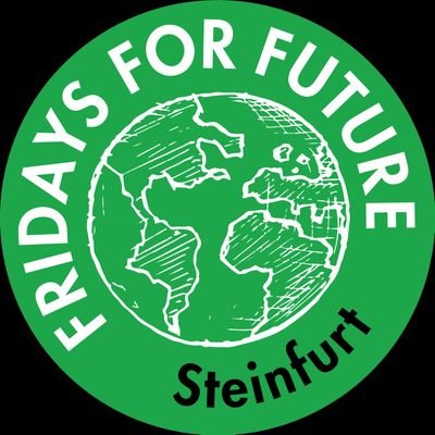 Nach dem Vorbild von Greta Thunberg gehen wir jungen Menschen auf die Straße um gegen die aktuelle Klimapolitik zu demonstrieren.