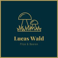 Lucas Wald - @lucas_wald Twitter Profile Photo