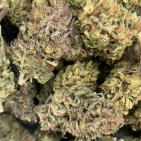 CannabinoidsHeal.com (@cbdworld) 's Twitter Profile