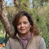 Pilar Hernandez (@pilarhmol) 's Twitter Profile