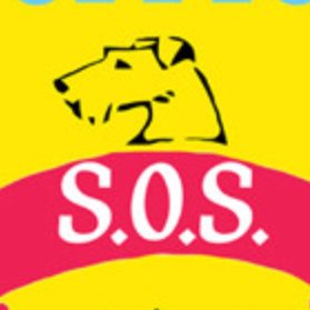 A small UK-based dog rescue run by volunteers, dedicated to caring for, fostering and rehoming terriers in need. Registered Charity 1161484