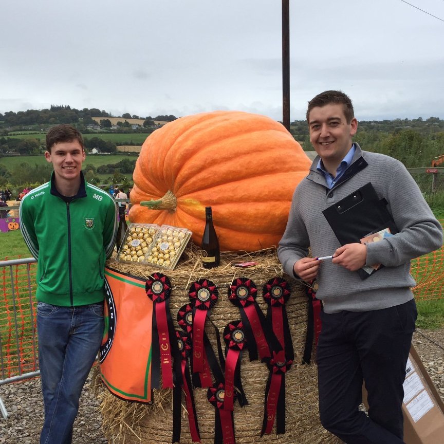 Giant Pumpkins Ireland🌱🎃🌱