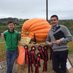 Giant Pumpkins Ireland🌱🎃🌱 (@GiantPumpkinsIE) Twitter profile photo