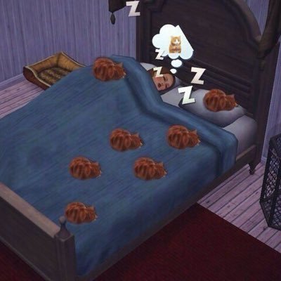 ultrayescolorr's profile picture. 