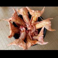 DAPSON RABBITRY-ELMINA (@dapsonrabbitry) 's Twitter Profile