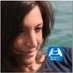Caroline Fel 💫 (@carolinefel) Twitter profile photo Caroline Fel 💫 (@carolinefel) Twitter profile photo