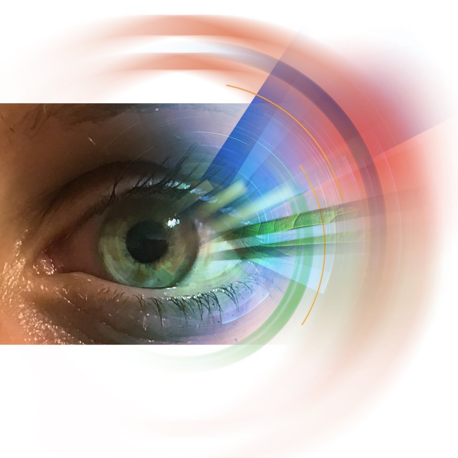 VisualProject2's profile picture. ViSuAL-project develops evidence-based pedagogy to utilize video-supported collaborative learning in teacher education and VET-schools.