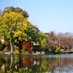 Northern Virginia Living (@living_virginia) Twitter profile photo Northern Virginia Living (@living_virginia) Twitter profile photo