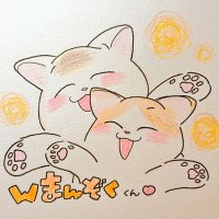 N@N@ 雑記 フォロバ規制中 (@nyan2_n) 's Twitter Profile