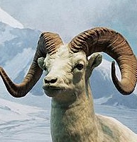 mrsblucher's profile picture. 