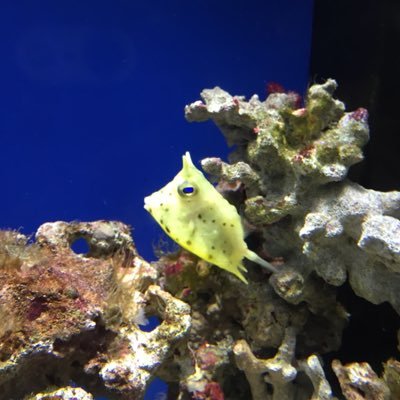 DoI80427079's profile picture. 標準型兼業主婦（小）