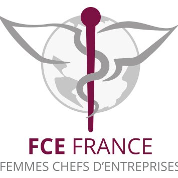 Association apolitique de femmes chefs d'entreprises, tous secteurs confondus, objectif premier : la représentativité dans le monde économique. #CongresFCE2017