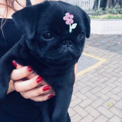 nasreen822's profile picture. It's only forever, not long at all. 💭