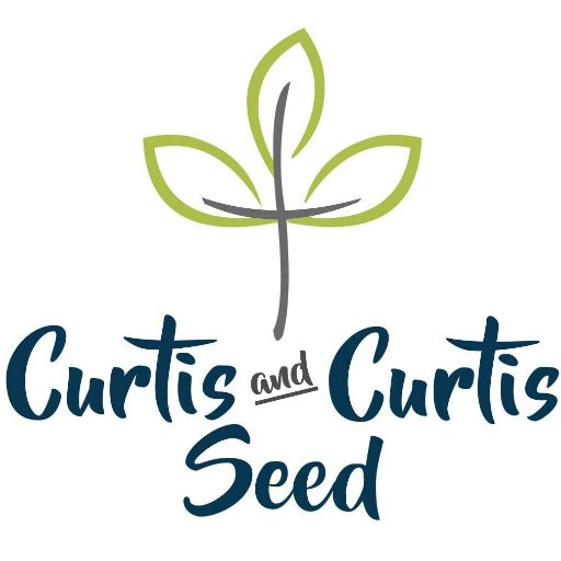 Curtis & Curtis Seed