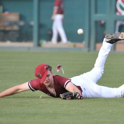 Santa Fe | University of South Carolina baseball alum