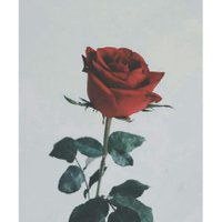 Riska Pramuliyani (@riskaengka) 's Twitter Profile