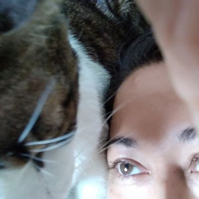 topoesfera's profile picture. A veces escribo Jopé, pero en realidad quiero decir, mecagüenmiputavida o qué mierda todo.
https://t.co/V6SEbTekn6