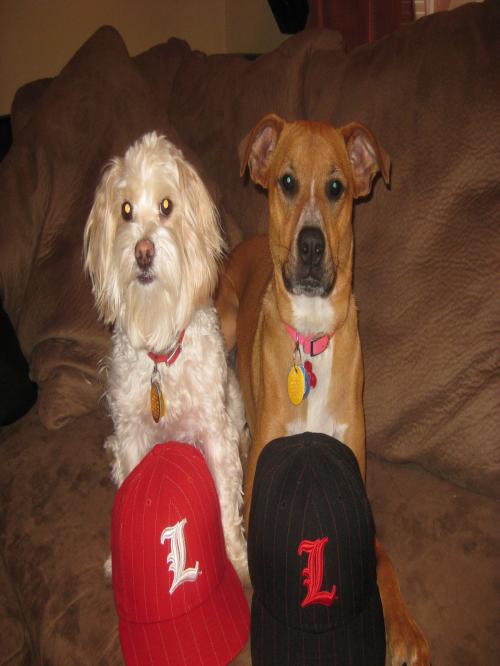 T2theRoy502's profile picture. 