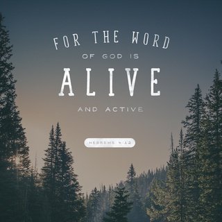 Visit WORD OF GOD Profile