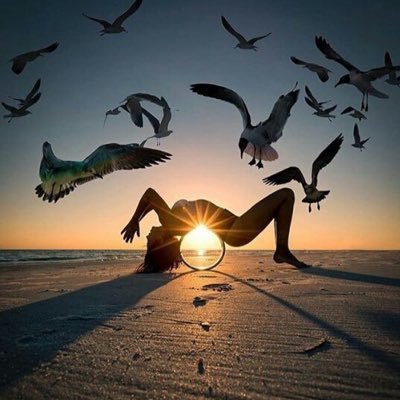 arwa_almufleh's profile picture. Une belle #Traductrice et #Maîtresse 🧚🏼‍♀️👩‍🏫 "Je connais mes limites. C'est pourquoi je vais au-delà"