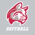 IWU Softball (@IndWesSoftball) Twitter profile photo