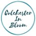 Colchester In Bloom (@colchinbloom) Twitter profile photo Colchester In Bloom (@colchinbloom) Twitter profile photo