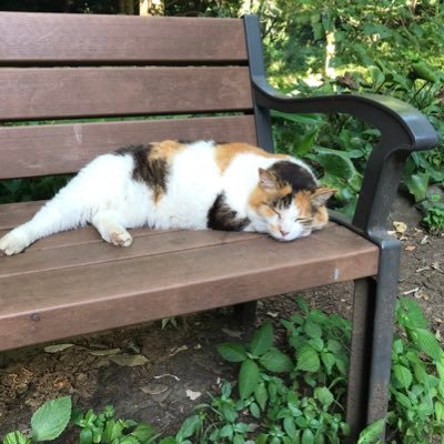 KokekoY's profile picture. いくつになってもワクワクは大事。まだまだ世の中知らない事だらけ。ギリギリまで行動しないことが多い。