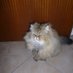 Bloggmaus (@bloggmaus) Twitter profile photo Bloggmaus (@bloggmaus) Twitter profile photo