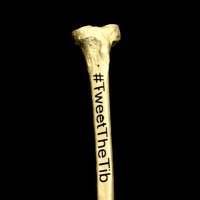 Golden Tibia (@thegoldentibia) 's Twitter Profile