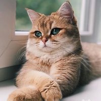 opikapşupikapbupikap (@caaybarda) 's Twitter Profile