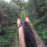 Vic Sollitt (@vee45840974) 's Twitter Profile