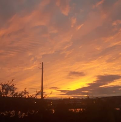 eileen_earle's profile picture. 