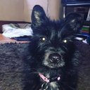 RubyKeenan - @RubyKeenan7 - Twitter