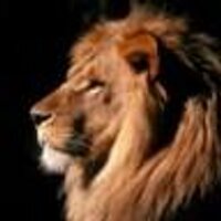 Ivo Visentin (@iv_1971) 's Twitter Profile Photo Ivo Visentin (@iv_1971) 's Twitter Profile Photo