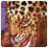 butchef's profile image