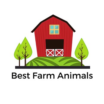 BestFarmAnimals's profile picture. All things about farm animals and awesome facts! Check out https://t.co/ziTK9OVaHh