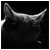 Jeramy_Ash's profile picture. Простой, веселый, добрый)