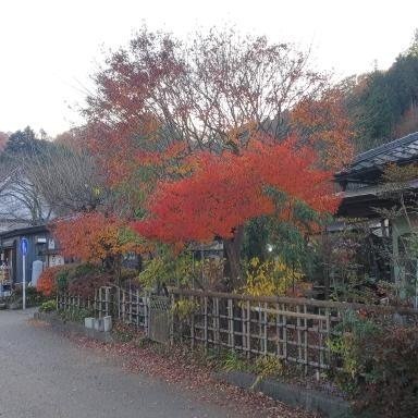 KUNIO72682053's profile picture. 三度の飯よりもおっぱい大好きのおっぱい星人の鉄ヲタです(笑)/
騎乗位で上下に揺れるおっぱいがおかずです(笑)
訳の分からないフォロワーが増えて迷惑しています/捨てアカウントのフォロワーは即通報&ブロックします