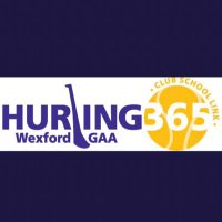 Hurling365 (@hurling365) 's Twitter Profile