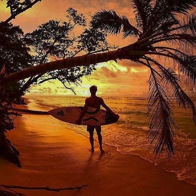 im4u_526170's profile picture. •|•  •|•  •|•
aku bukan siapa-siapa[]aku insan yg inginkan kedamaian di negeri ini[]dan pecinta persahabatan.