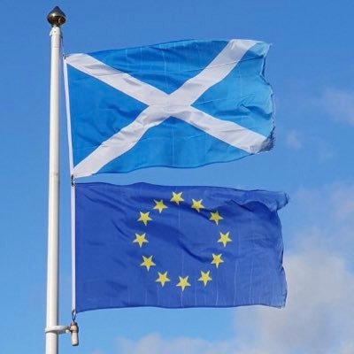 🇺🇦,Committed European, #Indyref2, #3.5%, #FBPE , dentist, #Rejoiner, 2 kids, a husband and one dog in sunny Scotland🥰