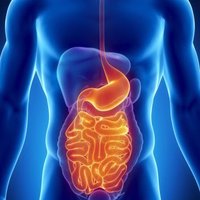 SoMe4IBD (@some4ibd) 's Twitter Profile