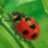 takasurd's profile image