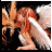 hatsukuteikiri's profile image