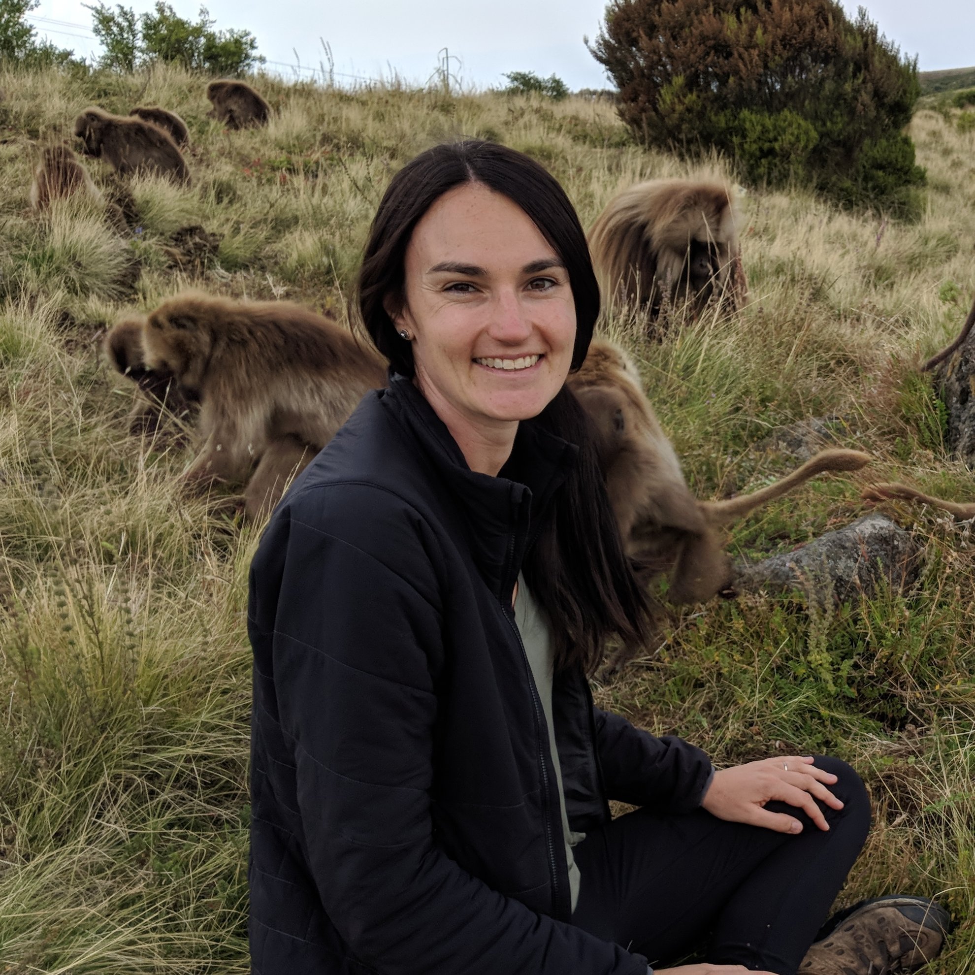 PhD, Primatology, University of Western Australia