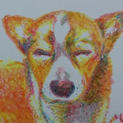 mizukiさんのプロフィール画像