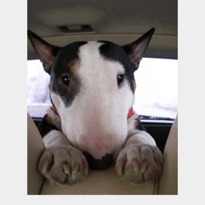 mattmarshall641's profile picture. 